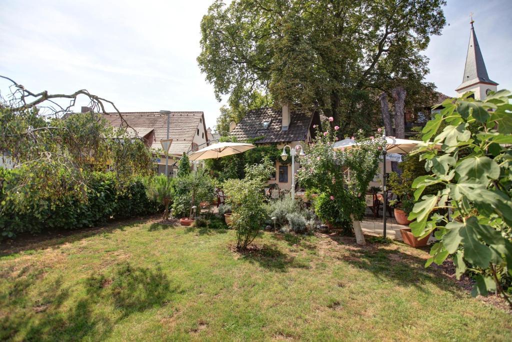 Oberrimsingen Gasthaus Zum Hirschen מראה חיצוני תמונה